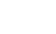 Bray Bowl Logo