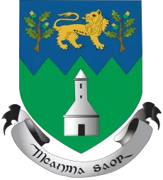 Wicklow Town Logo